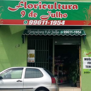 Floricultura em Guará